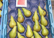 Net uit de cel ziet het er goed uit