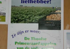 Promotie voor de Thoolse aardappel.