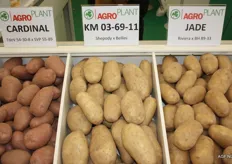 Aardappelrassen van Agro Plant