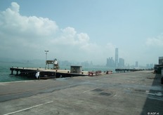 Met de Holland Fresh Group bezochten we de Western Wholesale Market (Hong Kong), mooi gelegen aan het water
