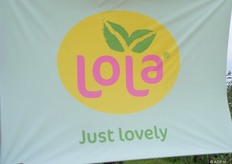 De nieuwe naam met logo