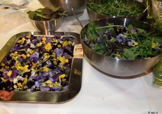Green Specialties introduceert eetbare bloemen.