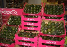 Avocado's met een Goosta-sticker