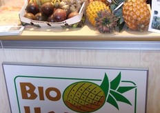 "Meer info over dit bedrijf klik hier"