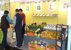 Gecombineerde stand van Brava, BFV, Greenpartners en andere participanten
