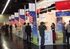 Amerikaanse inzending