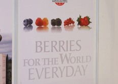 "Meer info over dit bedrijf klik hier"