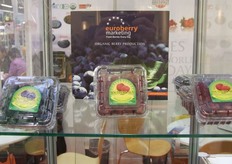 "Meer info over dit bedrijf klik hier"