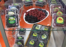 "Meer info over dit bedrijf klik hier"