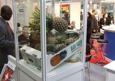 "Meer info over dit bedrijf klik hier"