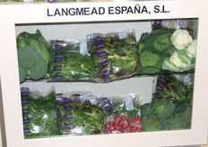 "Meer info over dit bedrijf klik hier"