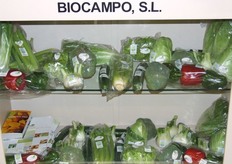 "Meer info over dit bedrijf klik hier"