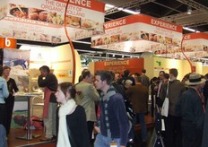 De nederlandse inzending