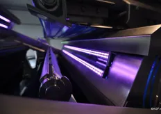 De optische sorteerder van Odenberg sluit naadloos aan op de techniek van Tummers