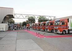 Alle vrachtwagens op een rij