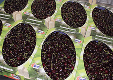 Belgische kersen on der het WD label