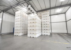 Het gehele pakstation is geconditioneerd.