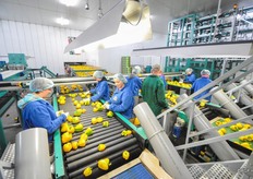 De tweede klasse komt terecht op een secundaire sorteerlijn. Deze is links op de foto te zien.