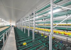 De afgewogen dozen komen op een centrale afvoerband terecht.