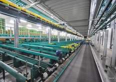 Iedere doos krijgt zijn eigen codering mee, zodat de machine weet bij welke partij hij hoort en op welke pallet hij uiteindelijk terecht dient te komen.