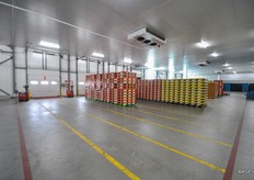 De handel staat in een geconditioneerde ruimte klaar om verladen te worden.