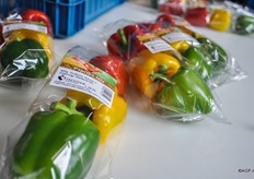 De stoplichten worden tevens voorzien van klantspecifieke stickers.