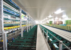 Rechts de sorteerder, links de afvoer van de dozen. Twaalf buffer/afvoerlijnen brengen de paprika's richting een van de drie palletizers. Elke band heeft een buffercapaciteit van 1 1/3e pallet.