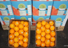 Zuid-Afrikaanse sinaasappelen onder het merk Cebon