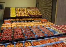 Citrus en steenfruit bij Central Fruit