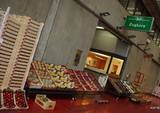 Steenfruit en meloenen bij Zeghers