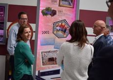 Deelnemers bekijken de tijdlijn van Koppert Cress