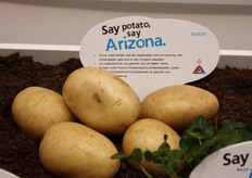 Ze verwachten veel van de Arizona