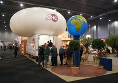 Reuze paddestoel bij CNC.