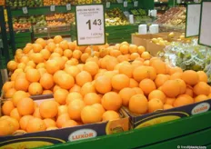 Zuid-Afrikaans citrus