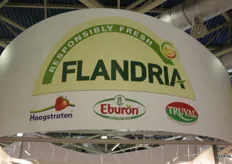 Flandria en de merken van de fruitveilingen: Hoogstraten, Eburon (Borgloon) en Truval (BFV)