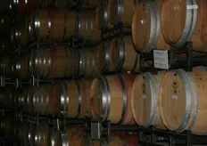 In de op natuurlijke wijze geïsoleerde wijnkelders rijpt de wijn op Undurraga.