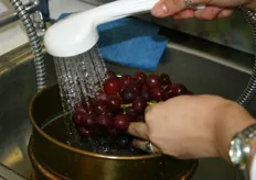 Druiven worden eerst in een sopje gedaan, daarna afgespoeld boven een zeef. Als in de zeef residu achterblijft na deze behandeling, gaat dit residu naar het laboratorium voor verdere inspectie.
