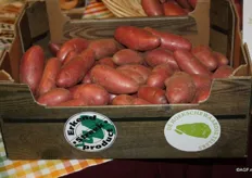 Aardappelen van de Hoekschewaardse telers, vanaf heden een erkend streekproduct