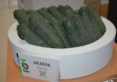 Nog een nieuwe introductie van Bejo was het Spaanse komkommertype Akasya