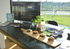 Bij Tel Aviv Streetfood kon je vegan burgers en shoarma proeven