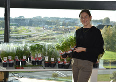 Eveline Lauwers van Vegabel