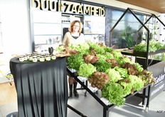 Een beetje fel tegen de zon in, maar Margreet Boer van slakwekerij FromBoer was ook present. Naast de unieke slasoorten had ze ook potjes met sla-pesto meegenomen. Deze pionier in het telen van sla op goten verhuisde onlangs van Ridderkerk naar Dinteloord.