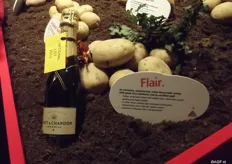 De laatste van de vier nieuwe rassen is Flair. Deze fijnvallende, vrij kruimige aardappel is gekweekt door Oebele Spriensma, een bij Agrico aangesloten kweker. Flair leent zich met name goed voor de West-Europese consument met een traditionele smaak.