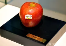 AGF/FreshPlaza toont met deze fotoreportage de brede range aan appelrassen