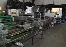 Al een beetje in kerstsfeer, de lente-uiverwerkingslijn