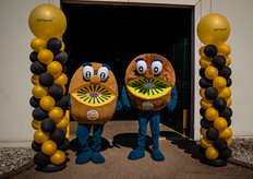 Kiwi-brothers zijn ook goede foto-modellen