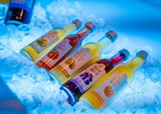 Sappen van Van Kempen