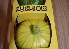 Zuchiolo is een nieuw product voor Malena. De nieuwe courgettesoort wordt geïmporteerd uit Zuid-Spanje.