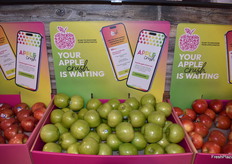 Apple Crush is een app van CMI Orchards waarmee consumenten hun perfecte appel kunnen ontdekken.