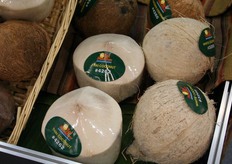 kant-en-klare kokosnoot